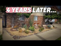 4-Year Succulent Garden Maintenance in Coronado