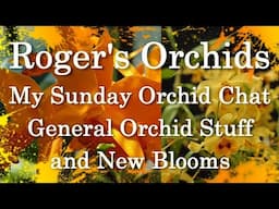 General Orchid Stuff and New Blooms