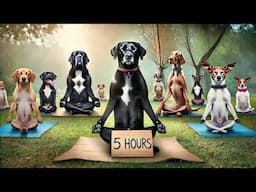 5 Hours of Calming Music for Dogs (GUARANTEED)
