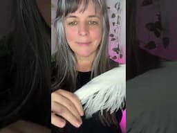 This Reiki is for opening your heart to deeper love—within yourself and in your connections.