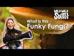 Funky Surprises in the Maritime Forest | Wild Wild South #SCETVDigital #outdoors #nature #travel