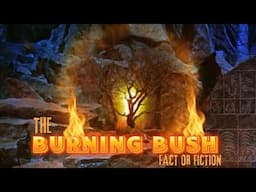 The Real Story of the Burning Bush - Revealed!