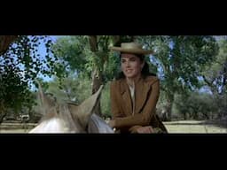 McLintock! (1963) - McLintock's Philosophy