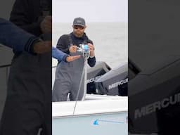 These fish are so unbelievably powerful!
