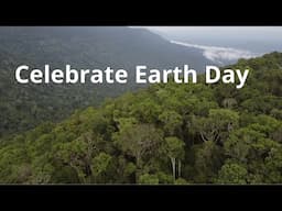 Adaptation, Biodiversity, and Survival