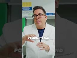 Could Mould Save The Planet?
