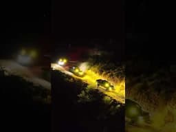 Off-Roading with Stage Series LED Pods!