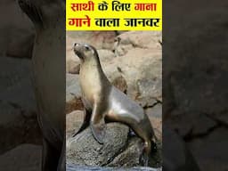 गाना गाने वाला जानवर।