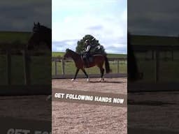 Soft Hands, Soft Connection: Following Your Horse’s Movement