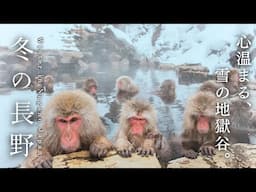 鉄道で巡る冬の長野❄️1泊2日の癒し温泉旅行｜地獄谷温泉｜湯田中｜小布施｜善光寺
