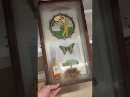 What are your thoughts? This is so unusual!! #thrifting #saversthriftstore