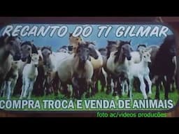 Recanto do Ti Gilmar