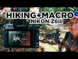 Hiking Macro Photography with Nikon Z6iii and TTartisan 75mm f2