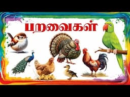 பறவைகளின் பெயர்கள் | birds name in Tamil | birds name | birds | kindergarten | education