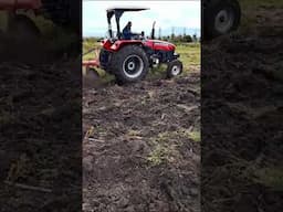 Ploughing our farm in readiness for planting #farming