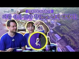 팔도 찍고 유람기 15회