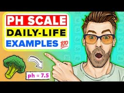 What is the PH Scale? Importance of PH in Everyday Life | Acids, Bases and Alkalis