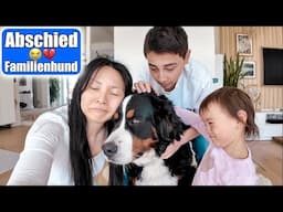 Abschied von Mochi 😭 Emotionaler Tag für ganze Familie mit Hund | Mamiseelen