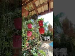 Arranjos pendentes para Suculentas #sustentabilidade #jardimcomarte #gardendecor #facavocemesmo
