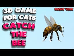 3D game for cats | CATCH THE BEE (front view) | 4K, 60 fps, stereo sound