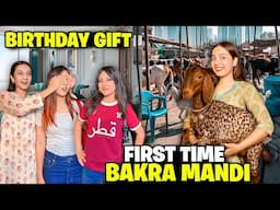 Qurbani Ky Bakry Ly Liya🥰🐄|Alhamdulillah😇|Haya Ny Zainab Ko Birthday Surprise Diya♥️🤩|Sistrology
