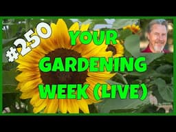 Top Spring Gardening Activities (Q&A)