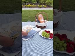 This and yap all summer long 🧺🌞 #shorts #summerpicnic