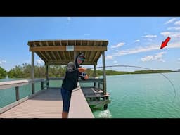 Found a New Pier in The Mangroves! *Fish Everywhere*