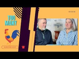 Married to Portuguese:The Most Portuguese Thing in our House!- Azorean Green Bean