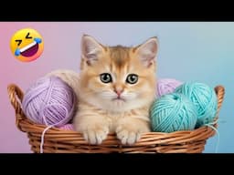😂 Watch These Cats Being Weird in 2025 | You’ll Be Laughing All Day