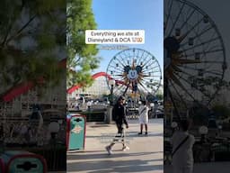 Everything we ate at Disneyland on a budget ￼#disneyland #disneyeats #disneyfoodie #disneylandparks