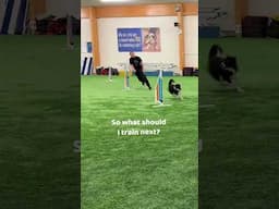 Where to go next after agility foundation training