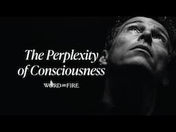 Consciousness and the Body | Stephen Doran