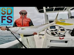 NAM'S NEW SETUP | YELLOWTAIL Fishing La Jolla Squid | Freedom Boat Club San Diego 2025 SDFS