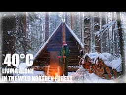 180 WINTER DAYS OF LIFE IN THE WILD FOREST IN A COZY LOG CABIN. MY FILM.