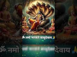ॐ नमो भगवते वासुदेवाय❤️Om namo Bhagwate Vasudevay 🙏जय श्री राधेकृष्णा🙏Jai Sri RadheKrishna