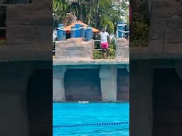 PEACH McINTYRE 🍑 KIDS GOTTA BRAVE DADDY 😂🤣😂 ADVENTURE ISLAND TAMPA, FL 🏝️💦🏝️