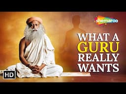 What Your Guru Truly Wants From You | The Best Offering to Your Guru