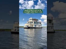 What It’s Like to Go on A Safari Boat Cruise in Chobe National Park