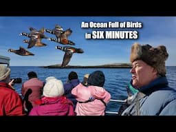 Only ONE CHANCE at this Birding Adventure