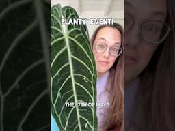 Tickets on my website www.plantwithroos.com - see you there? 📍 Bosrand Oegstgeest 🙌❤️