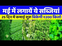 मई में कौन सी सब्जी लगाएं | May Me Konsi Sabji Lagaye | May Me Lagane Wali Sabji🌱May Vegetables 2025