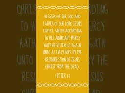 1 Peter 1:3 ✝️ Bible Verse of the Day
