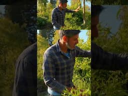 Plant SUPER close (full video is up)