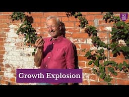 Abundant June Harvest Garden Tour | No Dig Growing, Melons, Tomatoes & Succession Planting