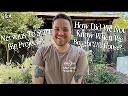 Could We Lose The Willow to Borers? Different Flooring For The Greenhouse?