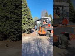 And we thought owning a house was a lot of work 😅 How we landscape our RV lot for summer #rvlife