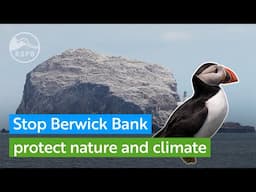 RSPB Scotland and other charities warn of an unprecedented threat to seabirds from a giant wind farm