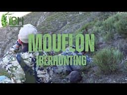 IBERHUNTING IN SPAIN - MOUFLON