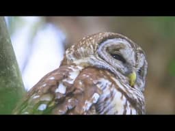 Nature Connection: April 14